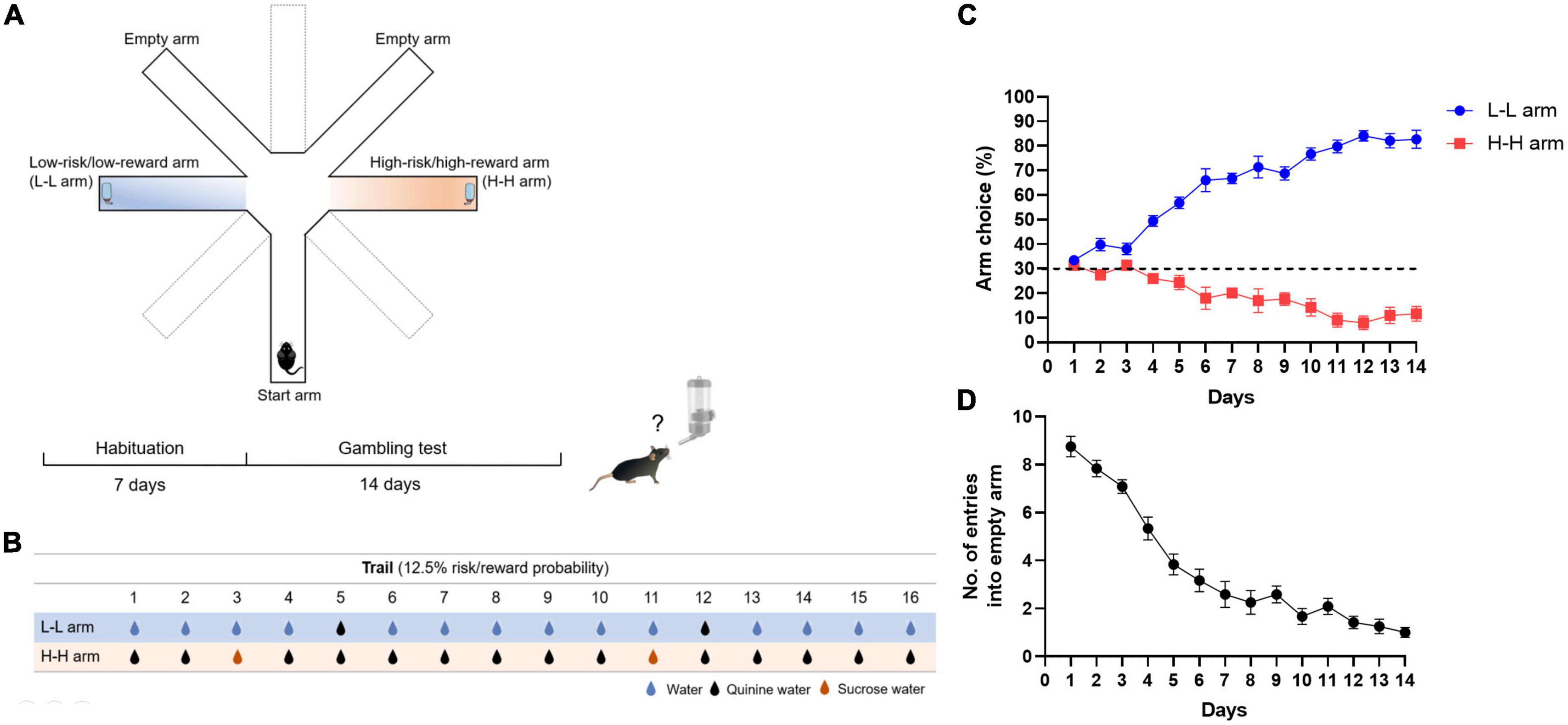 Stress-altering anterior insular cortex activity affects risk decision-making behavior in mice of different sexes